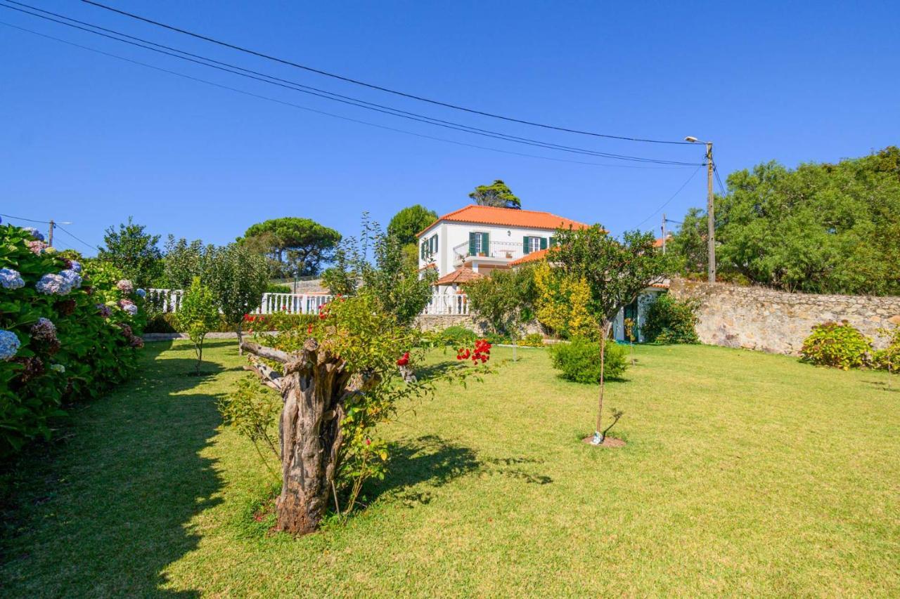 Casa Bacelar Afife Exterior foto